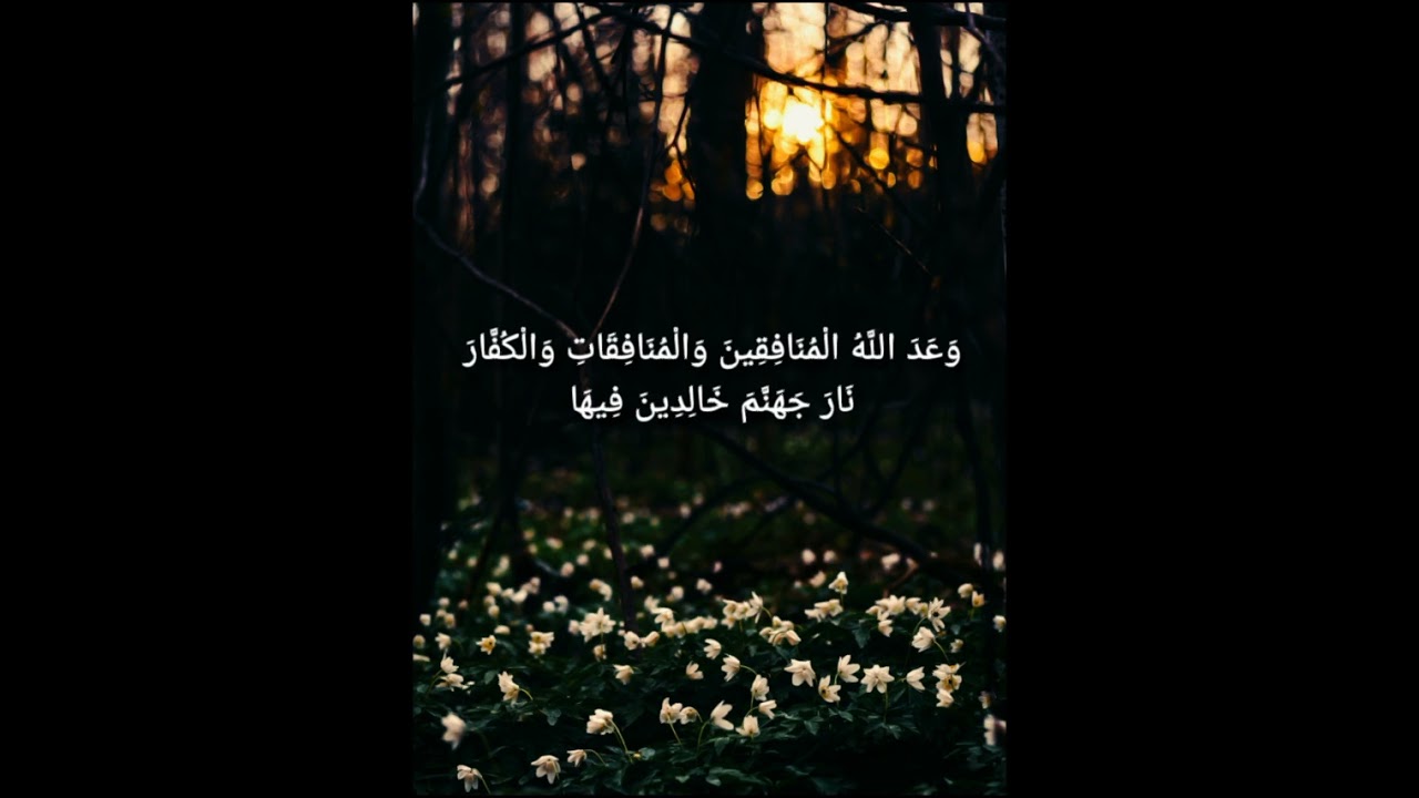 ه ي ح س ب ه م و ل ع ن ه