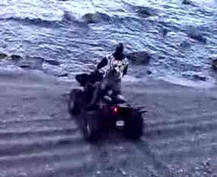 brancaleone tartanet palestra quad gianni