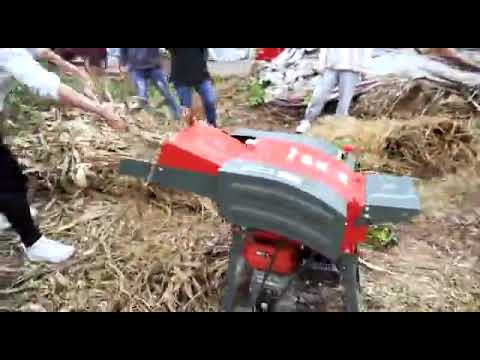 Electric Chaff Cutter Machine