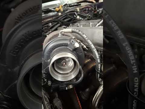 Holset VS Borg Warner TURBO