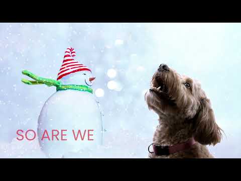 Merry Christmas 2021