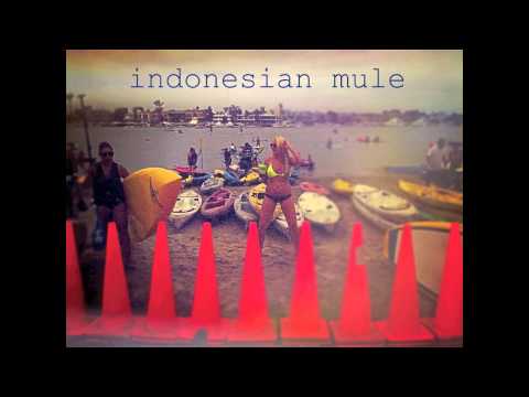 Indonesian Mule ~ Prince of Sin Live April 19 2003 Neptune's Sunset Beach