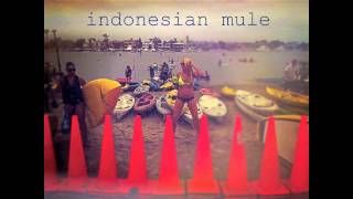 Indonesian Mule ~ Prince of Sin Live April 19 2003 Neptune's Sunset Beach