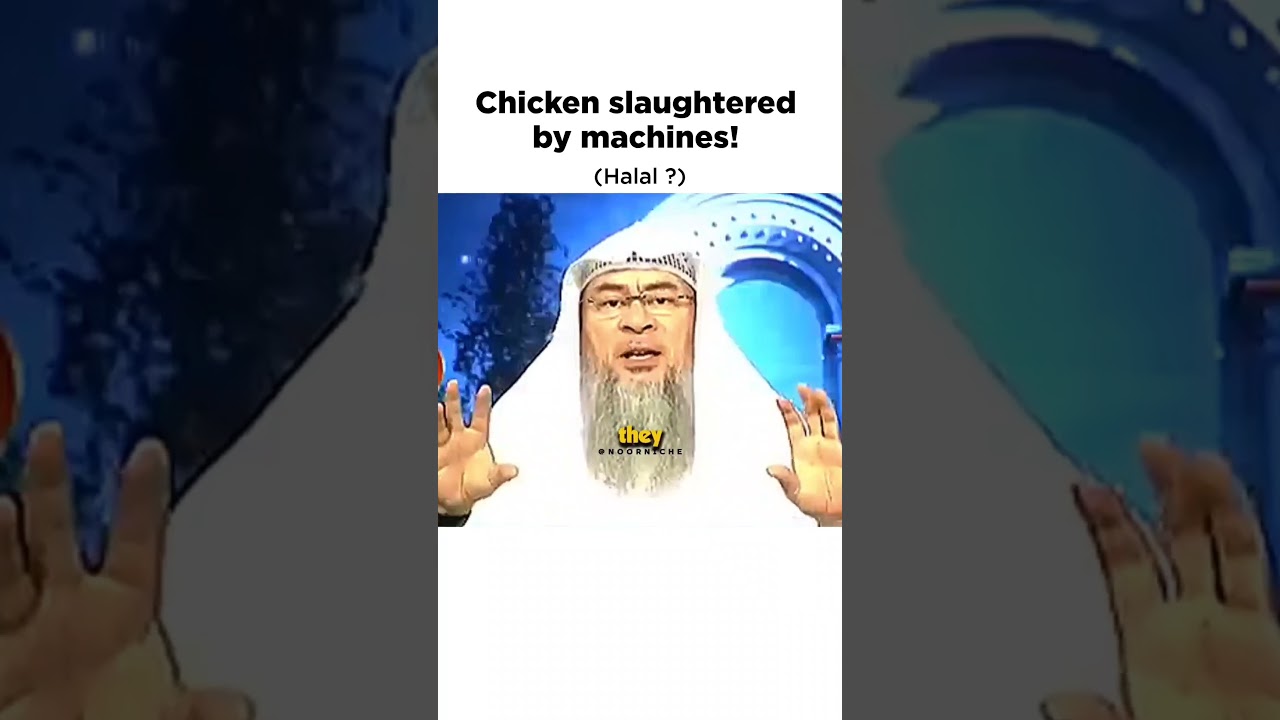 Chicken slaughtered by machines, are they Halal ? | #islamicshorts #muslim #sunnah #hadith #chicken
