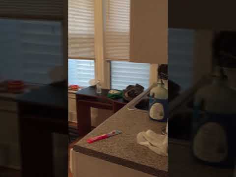 3356 N Seminary - Video 2 of 2