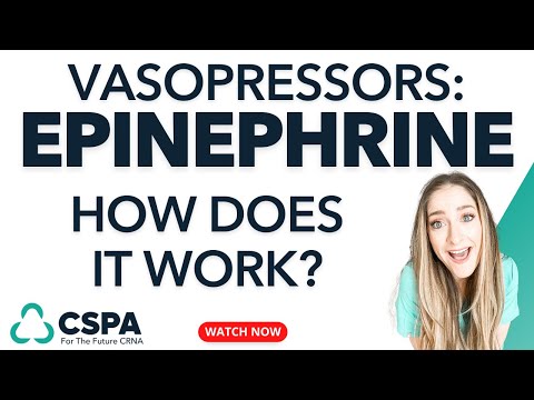 Epinephrine (Adrenalin): What Is It And How Does It Work? Free Study Guide Included!