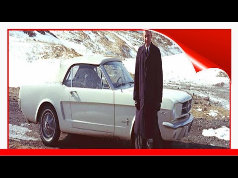 Thumbnail for The Stories Of Captain Stanley Tucker And His Ford Mustangs: Serial Number 1 And Serial Number ! by Car