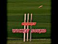 Cricket Wicket Sound | SPARSH EDITZ | #cricket #video