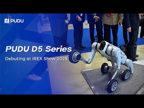 PUDU D5 Series