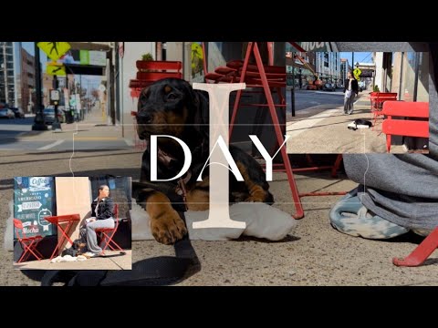 DAY 1 | SAFIYA at City Cafe with Puppy ZOLA | Ambient Video