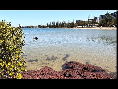 Redcliffe  Beach- Brisbane