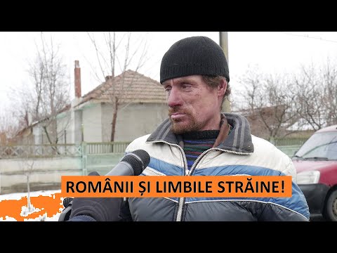 Ce LIMBI STRĂINE vorbesc românii?! 😛 Ce-a vrut să spună autorul?