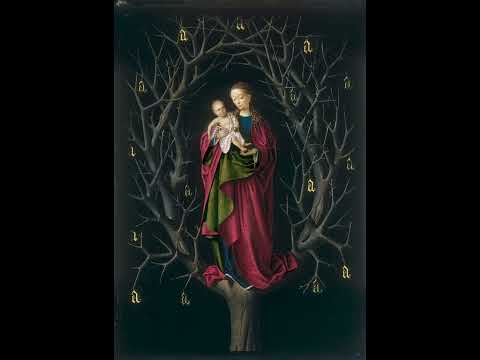 DIEGO 900 - BBCITA (FT CASH BENTLY)