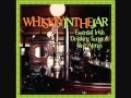 Whiskey In The Jar (Irish Folk Song cover) 
