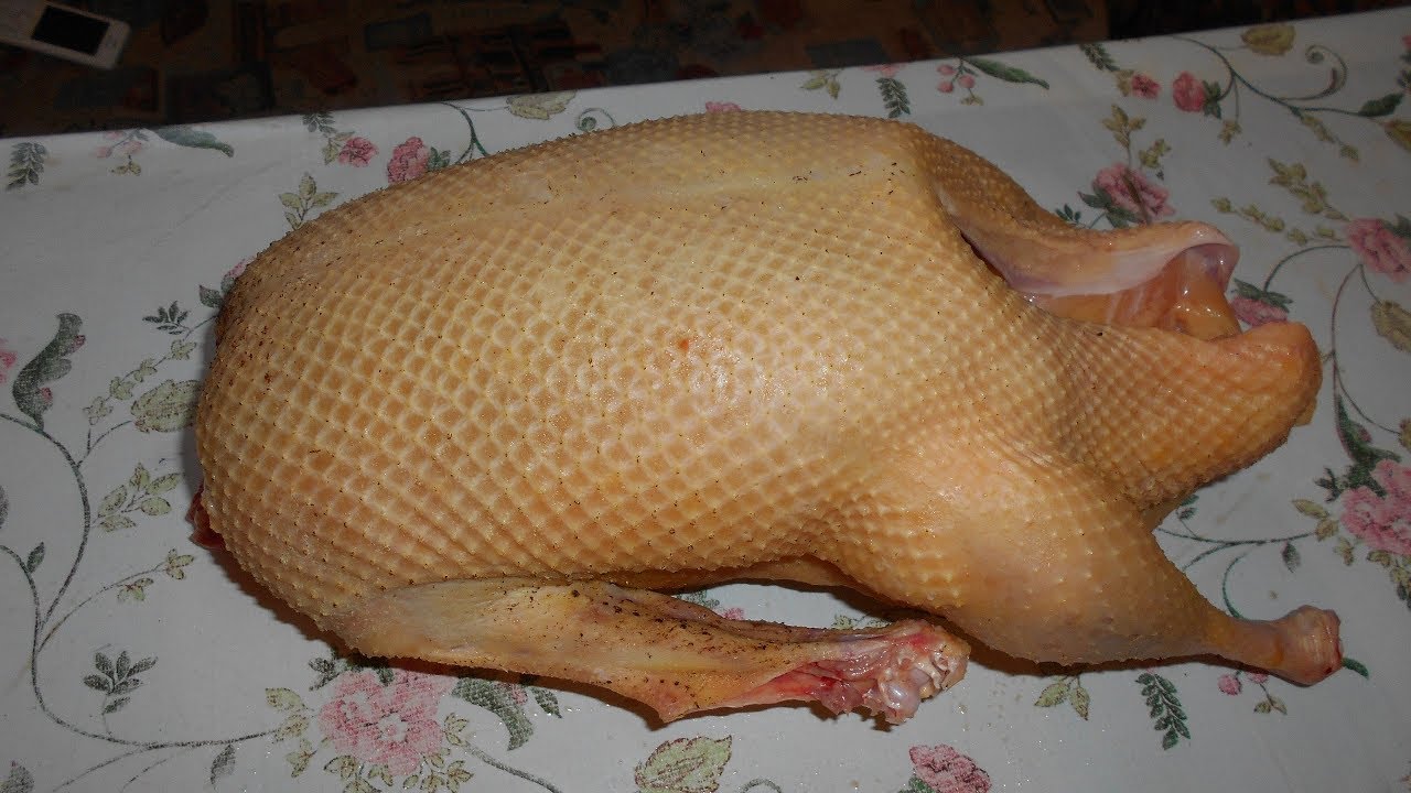 Гусь Домашний Купить Спб