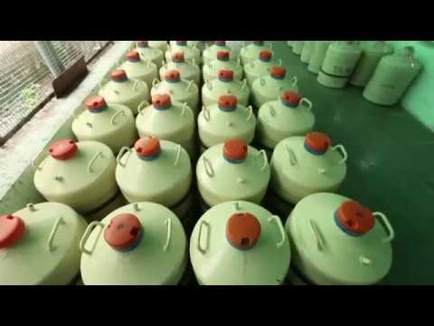 BAIF - Wings of Change #corporatevideo #documentary #development