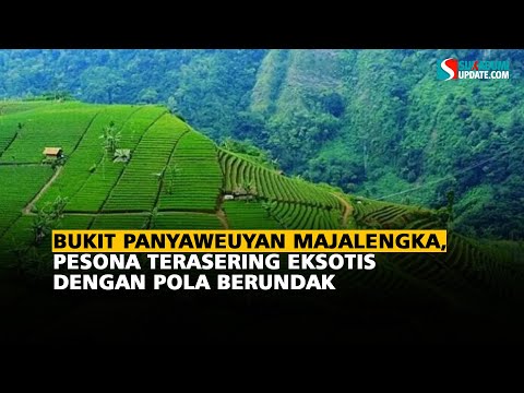 ukit Panyaweuyan Majalengka, Pesona Terasering Eksotis dengan Pola Berundak