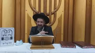 הרב אורן צדוק - פרשת בלק - מושחת !! יכול להיות תחליף למשה רבינו ? - ברית שלום הרצליה ח' תמוז תש"פ
