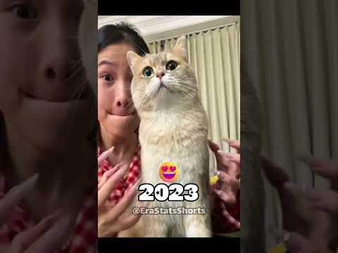 Pets Then vs Now: Heartwarming Transformations... 🥺💔