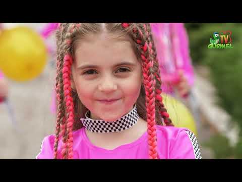 Picături Muzicale - Tik Tok