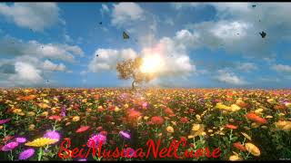 Lucio Battisti - Vento nel vento - Base originale