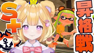 【スプラ3】S+絶対昇格するぞ！！今シーズン残り2週間！【スプラトゥーン3 / 個人Vtuber】