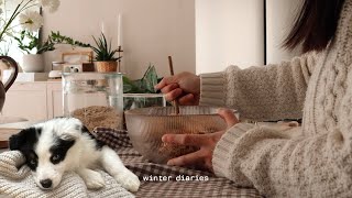 Winter diaries with our puppy ❤️