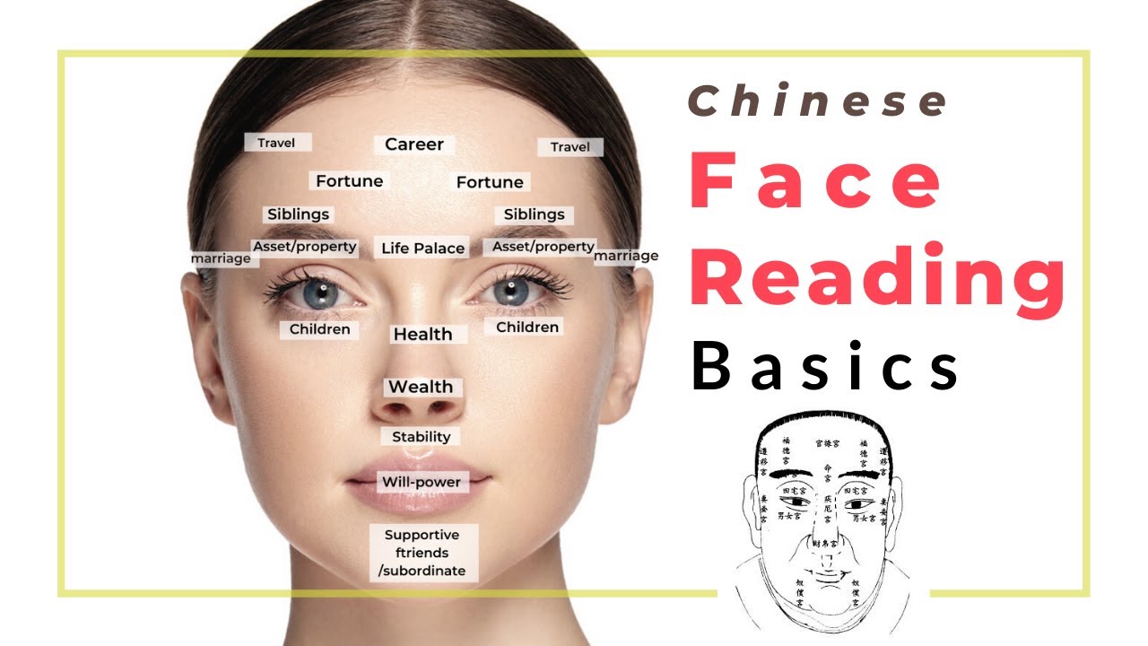 The Chinese Face Reading Basics