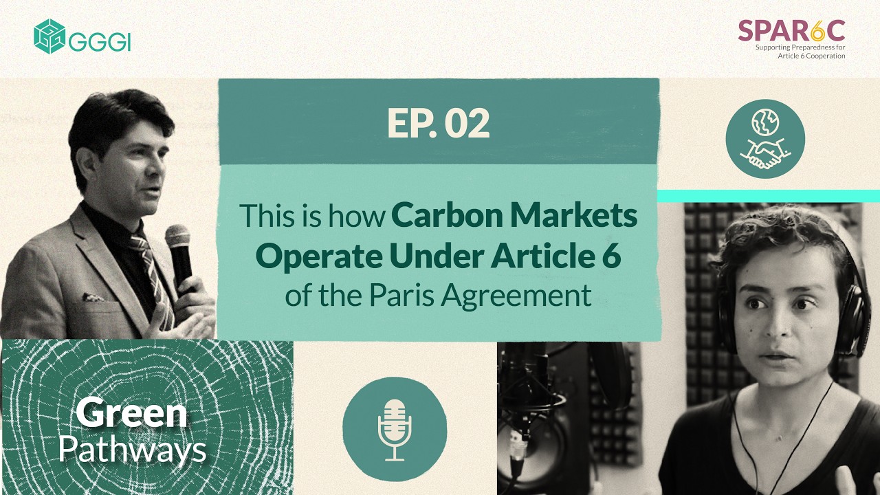 Ep. 2: This Is How Carbon Markets Operate Under the Paris Agreement's Article 6