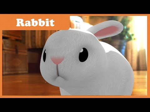 Ep14 Rabbit | Space Jungle S2 | Funny Cartoon | Kids Cartoon | COAN Studio