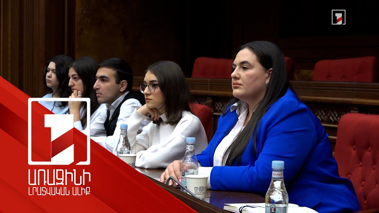 Նախագիծը միտված է երիտասարդների կարողությունների զարգացմանը. լսումներ ԱԺ-ում