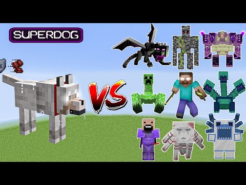 Ultimate Minecraft Showdown: SuperDog vs All Bosses!