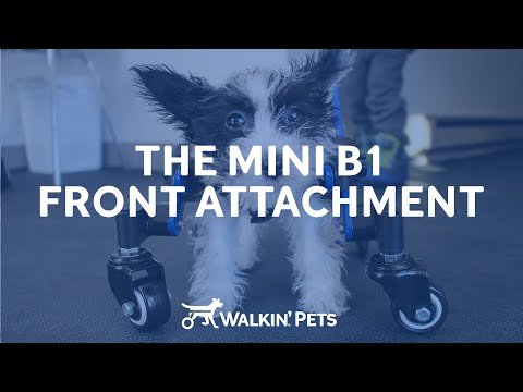 Přední nástavec Walkin' Wheels Mini B1 - instruktážní video