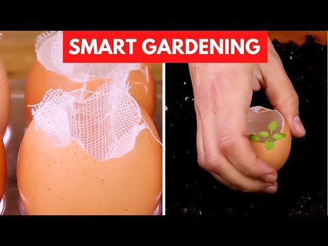 Lots of fantastic ideas to have fun while GARDENING