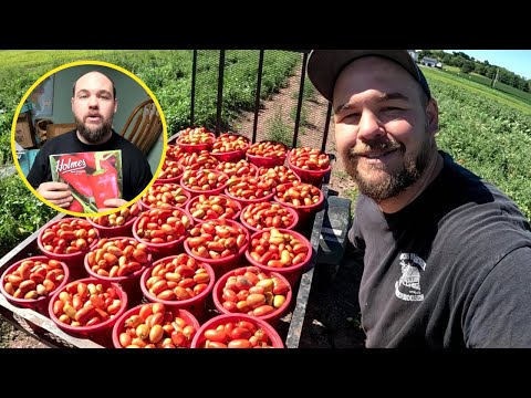 Off season vegetable farming needs 