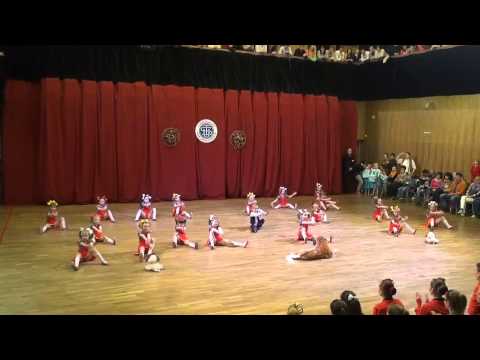 SUT VČ REG. Maxipes Fík - Besta Chrudim - 3. místo - chor. Klára Nováková