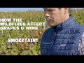 How Wildfires Affect Grapes and the Wine Industry: SMOKE TAINT