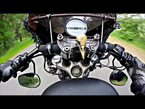 Sportster Clubman Bars Review