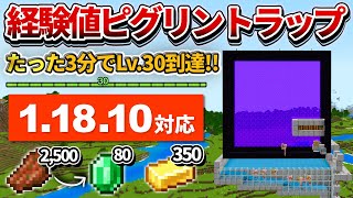 1.18.10対応【マイクラ統合版】3分でLv.30到達！全自動経験値ピグリントラップの作り方【PE/PS4/Switch/Xbox/Win10】ver1.18