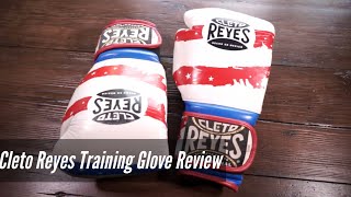 WORST GLOVES EVER?!?! Cleto Reyes 14oz Training Glove Review