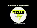 Club Badd – Black Pussy Surprise (#NYPARTYHOUSE Mix by Larry Tee)