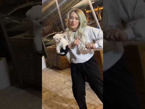 Sex videolar Uyatsiz videolar 2021 Niginadan uyatsiz videolar #Nigina #Niginn #Parizoda #Pamaus