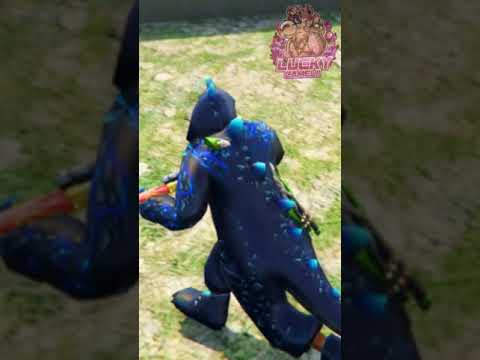ฟีฟาย