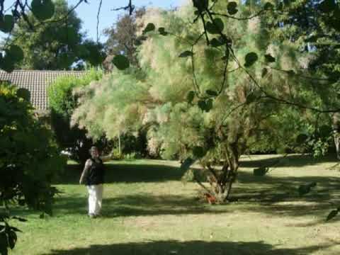 prèles en brie et marne la vallèe