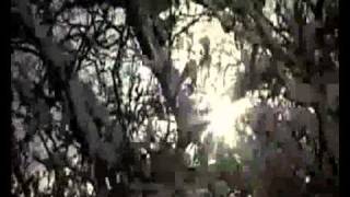 RDJude (Bryan Ferry - Sonnet 18)