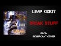 Limp Bizkit Break Stuff Lyrics Video