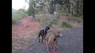 Keeper of the Stones