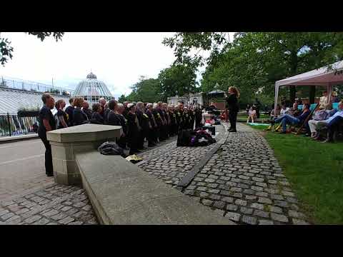Hallelujah Norwich Rock Choir