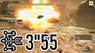 【MHRise】ラスボス 3'55"01 ソロ 貫通弓