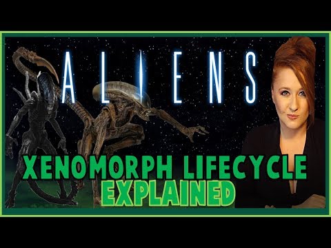 Xenomorph Life-cycle Explained: ALIENS